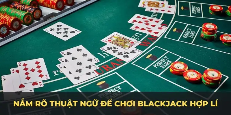 choang club c1 gà chọi