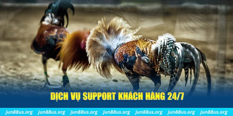 choang club ÁT CHỦ BÀI GIÀNH LẤY ZHUANG NIUNIU ( XEM 4 LÁ )