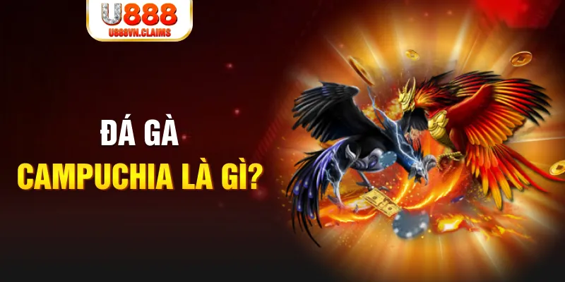choang club bắn cá vàng h5