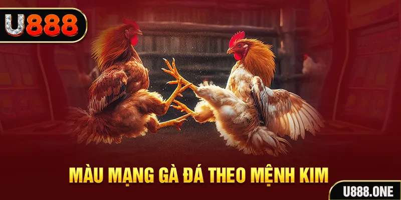 choang club Cỡ bảy