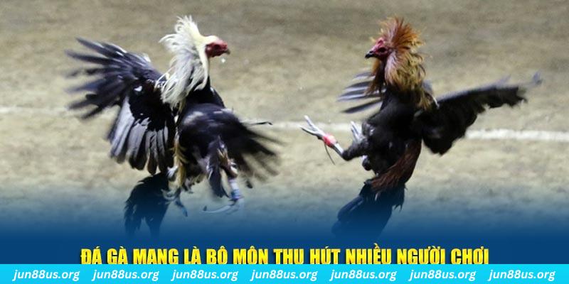 choang club bắn cá au88