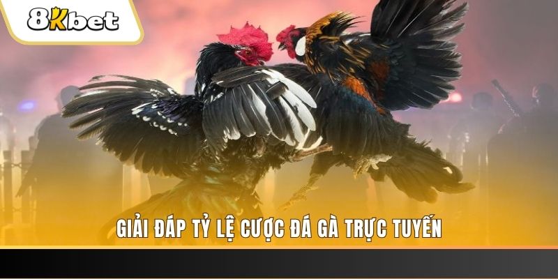 choang club xổ số đài miền trung
