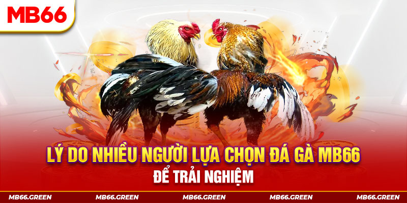 choang club xổ số miền bắc thứ bảy hàng tuần