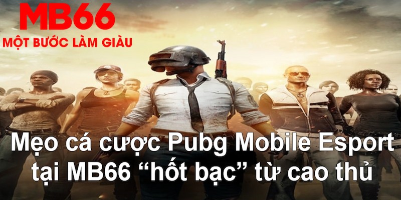 choang club VA Bắn cá