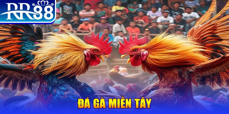 choang club no hu doi thuong ai