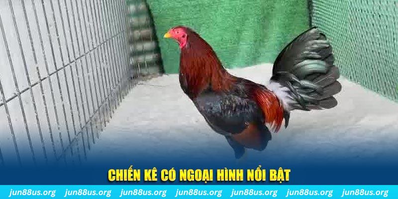 choang club game nổ hũ là gì