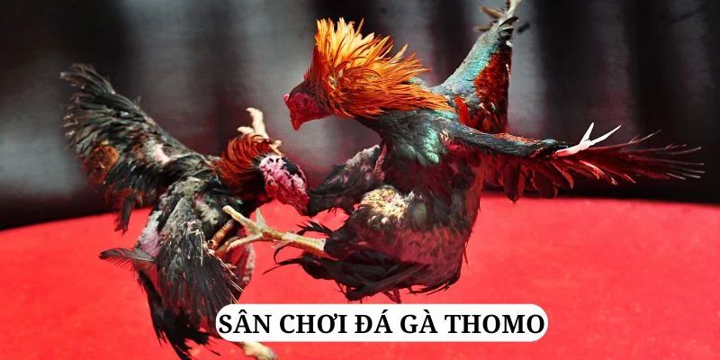 choang club trực tiếp xổ số miền bắc